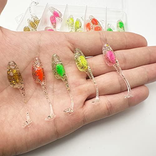 25Pcs Crappie Lures Set Soft Plastic Fishing Lures For Crappie Panfish 2Inch Fishing Baits Mix Colors (25Pcs) #TOP4