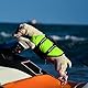 Schwimmweste Hund, FainFun Hunde Schwimmwesten Klein, Schwimmweste Hai Hund, Schwimmweste für Hunde mit Starkem Auftrieb für die Notfallrettung(Grün XXL)