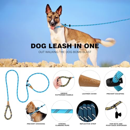Detailed view of lynxking Slip Lead Dog Leash build
