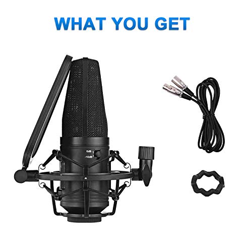 Boya Audio Microphone Large Diaphragm Studio Condenser Microphone 24V 48V Phantom Power & Sturdy Housing For Vocal Recording Singer Podcasting Broadcasting Youtube Video #TOP4