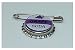 NA 5 Grape SODA Bottle Cap pins Inspired by Disney UP