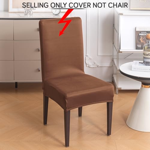 Image of HOKIPO 'SereneSolids' 140 GSM Stretchable Dining Chair Cover - Set of 1, Brown (AR-6246-BR)