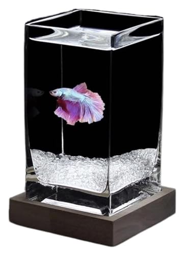 AtBbV{EA ؐx[Xt݂̂KX㏬^(White02)