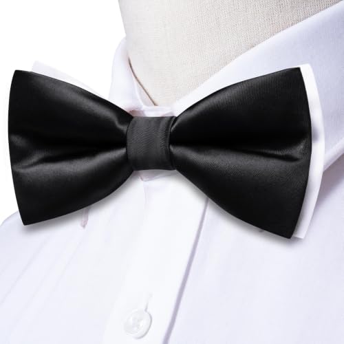 Image of Dubulle Mens Paisley Striped Bowtie Set Pre-tied Bowtie for Men and Pocket Square Set Wedding Business