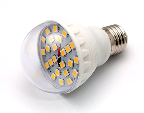12 Volt LED Light Bulb DC 12V 6000K Pure White Parade Float Van RV House Battery Powered Housing Mini Micro Grid Storage Low Voltage Lighting Path Landscaping Garden Medium Screw Base 5050 Clear Lense