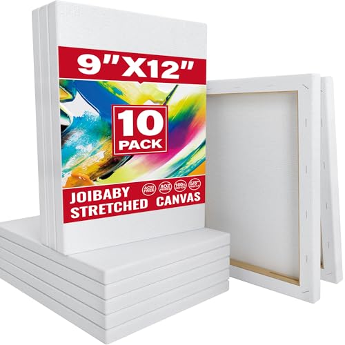 Stretched Canvas for Painting,10Pack 9X12 Inch Stretched White Blank Canvas,8