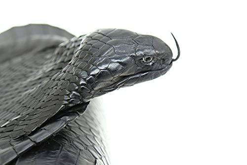 Genuine Snakeskin Hide Black Cobra Snake Skin Snake Leather Splitting Snakeskin with Head Cobra Taxidermy Real Snake Hide 55 x4.7 