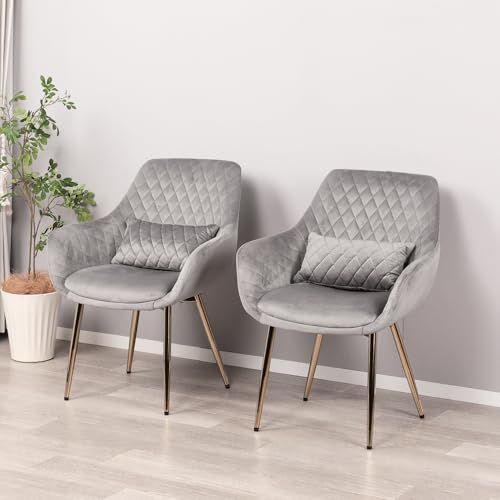 Mirai-Show _CjO`FA 2rZbg It  k ψ֎q rO`FA[ JtF`FA ItBX`FA Ȃ S[hr H֎q l 킢 (O[ / 2rZbg xAj)