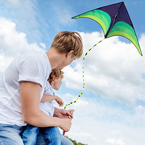 Green Kite - Beautiful And Easy Flyer Kite For Children And Adult With Long Colorful Tail String Line Accessories Easy To Soar High Outdoor Sports Game Activities Or Beach Trip #TOP4