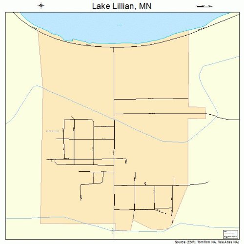 Large Street & Road Map of Lake Lillian, Minnesota MN Printed poster