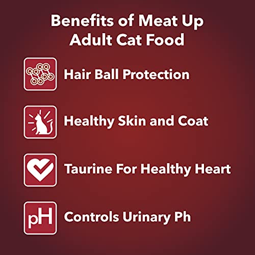 Image of Meat Up Adult Cat Food, Ocean Fish - 1.2 kg Pack (Buy 1 GET 1 Free) & Meat Up Kitten Cat Food, 1.2 kg (Buy 1 GET 1 Free)