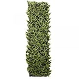 Expanding Trellis Artificial Green HOSTA Leaf Fence Screening 60cm x 180cm - Image 2