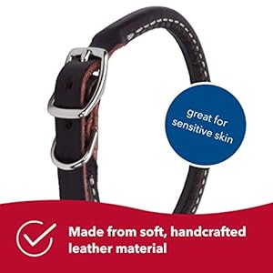 Coastal pet circle t latigo leather round dog collar  handcrafted leather pet collar for dogs  comfortable dog collar for dogs with long hair or sensitive skin  38 x 14   cucciolini doodles