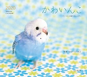 本のカレンダー2020 かわいんこ インコと小鳥のカレンダー (ヤマケイカレンダー2020)の表紙