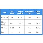 Stainless Steel Cat Dishes for Food and Water Bowls for Kittens and Baby Cats Small Pets Relief of Whisker Fatigue -2 Sets Shallow Style - Image 3