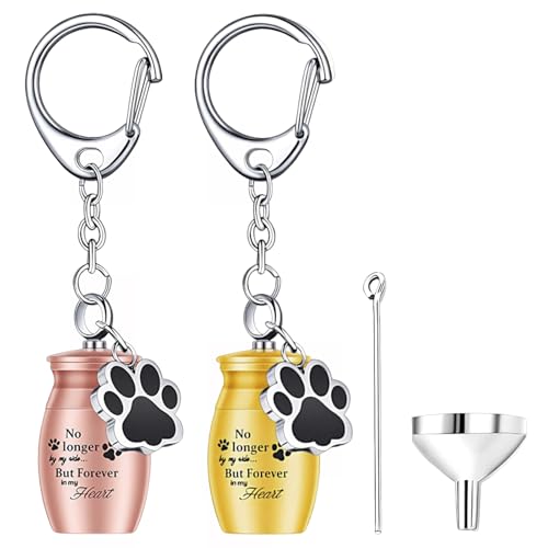 [KDSSYFT] L[z_[⍜ 2  ⍜ L[z_[ Pbgy_g Ay_g JvZ 茳{ ╪p LpApi (S[h{[YS[h)