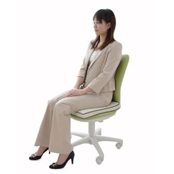 Amazon.co.jp: アイリスオーヤマ(IRIS OHYAMA) クッション