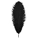 Bseash Natural Ostrich Feathers Bulk 12-14 inches (30-35cm) for Wedding Party Centerpieces, Flower Arrangement and Home Decoration (Black 50pcs)
