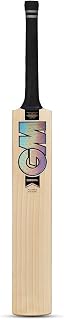 GM Chroma Players Edition English Willow Professional Cricket Bat Ready to Play Lightweight Short Handle, Multicolor