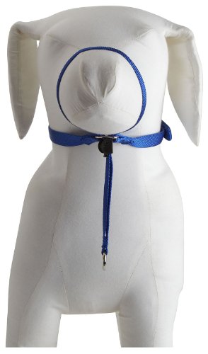 Gentle Leader Quick Release System, Small, Royal Blue