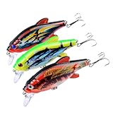 Leurres de pêche : leurre de conception d'impression de pêche créative pour remplacement des appâts de pêche en plein air, mini appâts de pêche