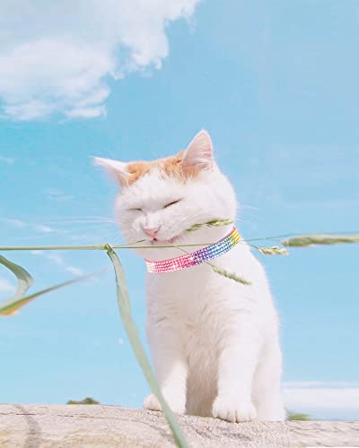 Petank Breakaway Cat Collars For Girl Cats, Bling Kitten Collar With Bell, Cute Cat Collar With Bells, Pink Cat Collar, Rhinestone Cat Collar. (Pink) #TOP1