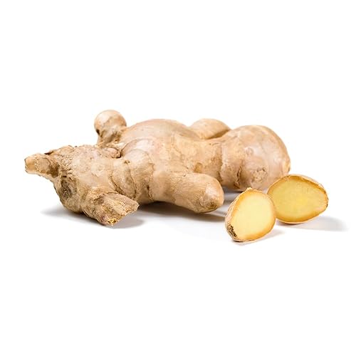 Miniatura 3 de OliveNation Extracto de jengibre para hornear y cocinar dulces o salados, perfecto para pan de jengibre, pastel de especias, galletas, sin OMG,