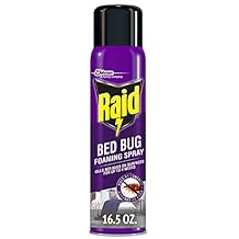 Raid Bed Bug Foaming Spray, Kills Bed Bugs and Their Eggs, for Indoor Use, Non-Staining, Keeps Killing for Weeks, 16.5 oz Pack of 1