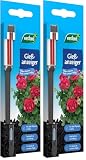 Westland Gießanzeiger klein, 16 cm, anthrazit – Pflanzen Gießmelder, Wasserbedarf-Anzeige für Pflanzen in Blumenerde (Packung mit 2)