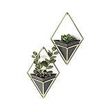 MODERNES GEOMETRISCHES DESIGN: Die von Moe Takemura für Umbra entworfene Wandvase zaubert mit ihrem schlichten und eleganten Design einen modernen Touch in Ihren Wohnbereich und bringt Grünes nach Innen