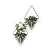 Umbra Trigg muurdisplay, set van 2, Zwart/goud