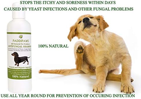 100% Natural Antifungal and Antibacterial Dog Shampoo - Yeast Infections, Ringworm, Dermatitis, Pyoderma - Safe - Natural - Paraben and SLS Free - 250ml - Larger bottle available from the store.