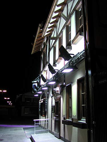 Eurolite 40000315 Wfl – Faretto Per Esterni (150 Watt) A Argento - 4