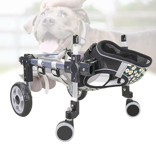 Fauteuil roulant pour chiens avec paralysie des pattes arrière grand modèle