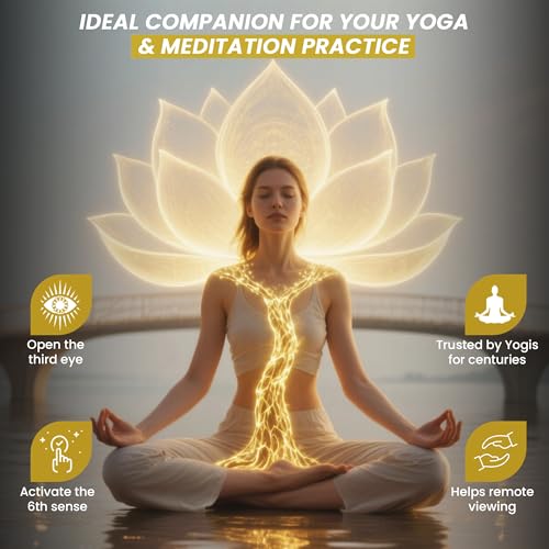 Third Eye Awakening - Organic Haritaki Capsules- Kailash Herbals-100 capsules- 650 mg each-Terminalia chebula