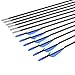 Fiberglass Arrows Archery 30 Inch Target Shooting Practice Safetyglass with Blue and White Vane for Recurve Bows Suitable for Youth Children Woman Beginner 12 PCS