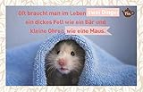  Oft braucht man im Leben zwei Dinge: Ein dickes Fell, wie ein Bär und kleine Ohren, wie eine Maus.: Teekarte