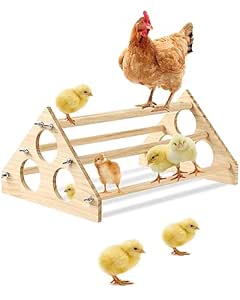 Do Baby Chicks Like Toys? 10 Fun Ways to Stimulate Their Natural Instincts