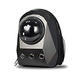 -Kapsel-Stil + dampfförmiges Fensterdesign