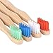 Little FootPrint Kids Bamboo Toothbrushes - 12 Pack |BPA Free Soft Bristles Toothbrushes | Eco-Friendly, Natural Bamboo Toothbrush Set | Biodegradable, Compostable, Wooden Eco Friendly