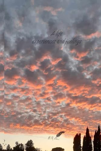 A life of experiences and feelings