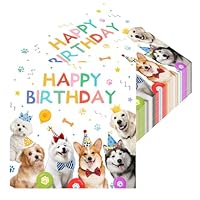 24 Geburtstag Servietten Schwarz-Gold – 33x33 Cm, 2-lagig, Happy Birthday Motiv, Für Party & Tischdeko