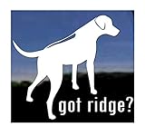 Got Ridge? ~ Rhodesian Ridgeback Dog Vinyl Window Decal