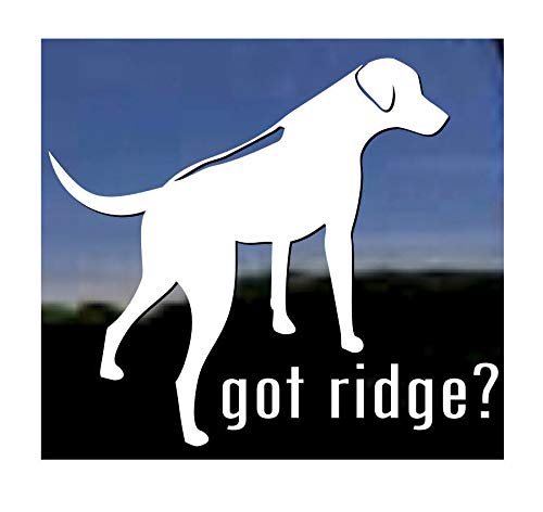 Got Ridge? ~ Rhodesian Ridgeback Dog Vinyl Window Decal
