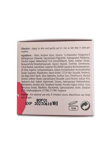 Ariul Watermelon Hydro Glow Cream For All Skin Types - Hydrating Face Moisturizer With Triple Hyaluronic Acid, Anti Aging Glow Face Cream, Rich In Vitamins Watermelon Extract,1.85 Fl. Oz. (55Ml) #TOP6