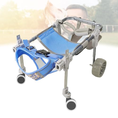 Chariot pour chien handicapé : fauteuil roulant bleu réglable pour pattes arrières