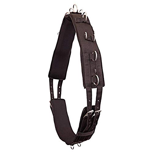 Cinturón de longing BR Premiere de alta resistencia con neopreno negro premium