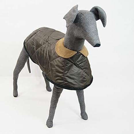 Amazon Co Jp ラウンドカラーケープコート型紙 ばらばら印刷 大きな中型犬中型犬s 中型犬l ホビー 通販