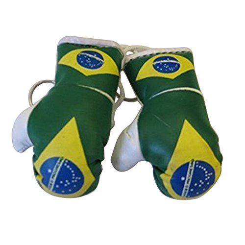 Flag Mini Small Boxing Gloves to Hang Over Car Automobile Mirror – Americas