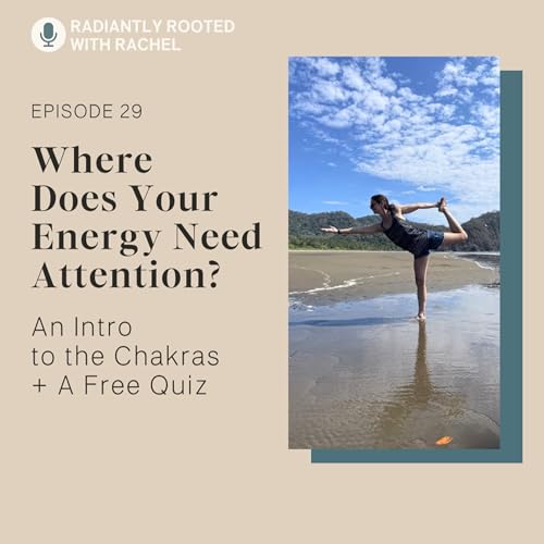 Ep 29 - Where Does Your Energy Need Attention? An Introduction to the Chakras